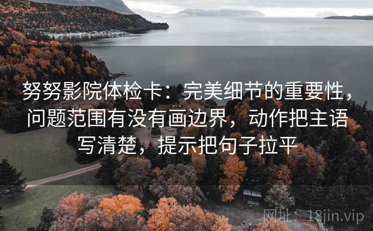 努努影院体检卡：完美细节的重要性，问题范围有没有画边界，动作把主语写清楚，提示把句子拉平