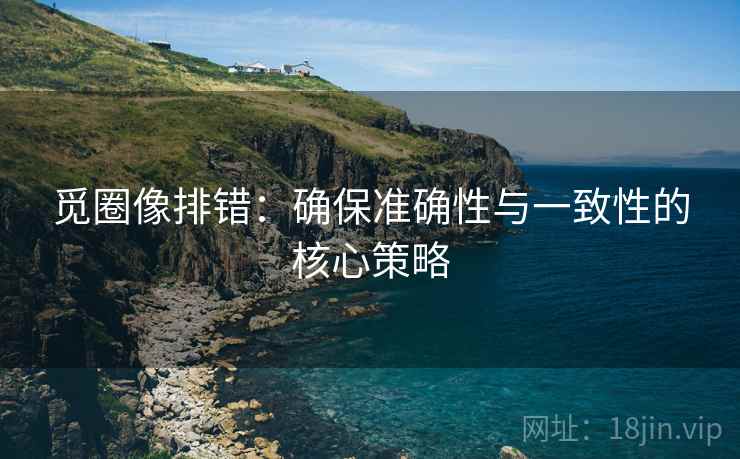 觅圈像排错：确保准确性与一致性的核心策略